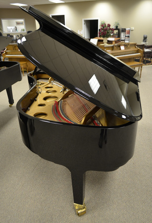 Wurlitzer 203 store
